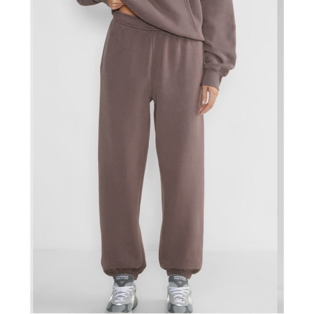 Aritzia Brown Jogger Pants